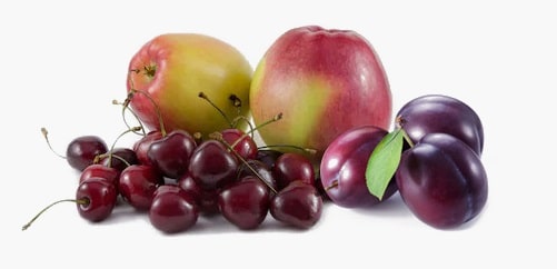 Ceravis fruits